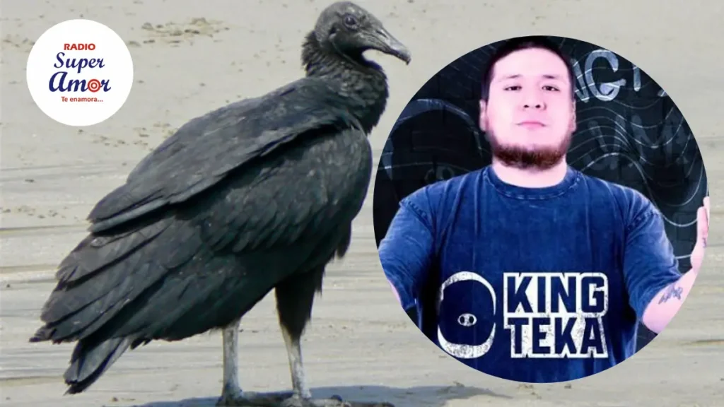 SERFOR va contra ‘Kingteka’ tras muerte de gallinazo durante transmisión en vivo