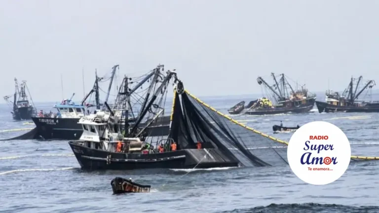 Declaración de emergencia en pesca y acuicultura dará alivio financiero a pescadores por El Niño